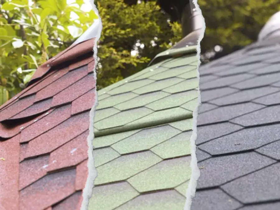 roof choices camping lodge