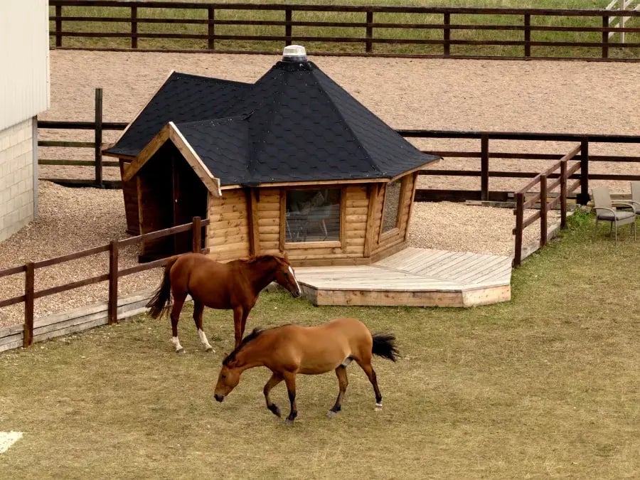 log cabin used for therapy