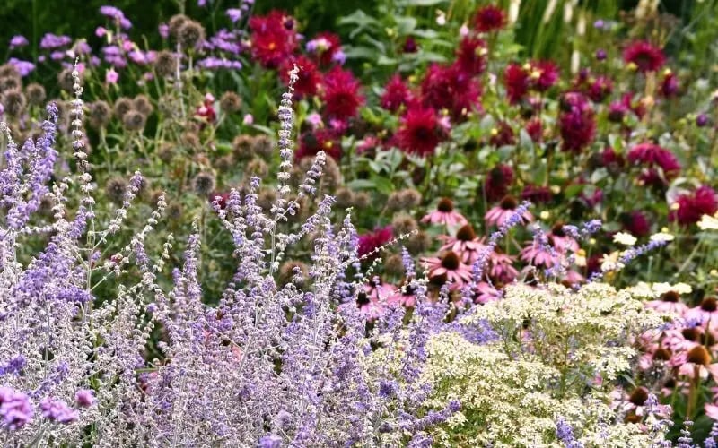 Newby-Borders-1