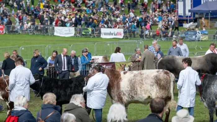 westmorland show