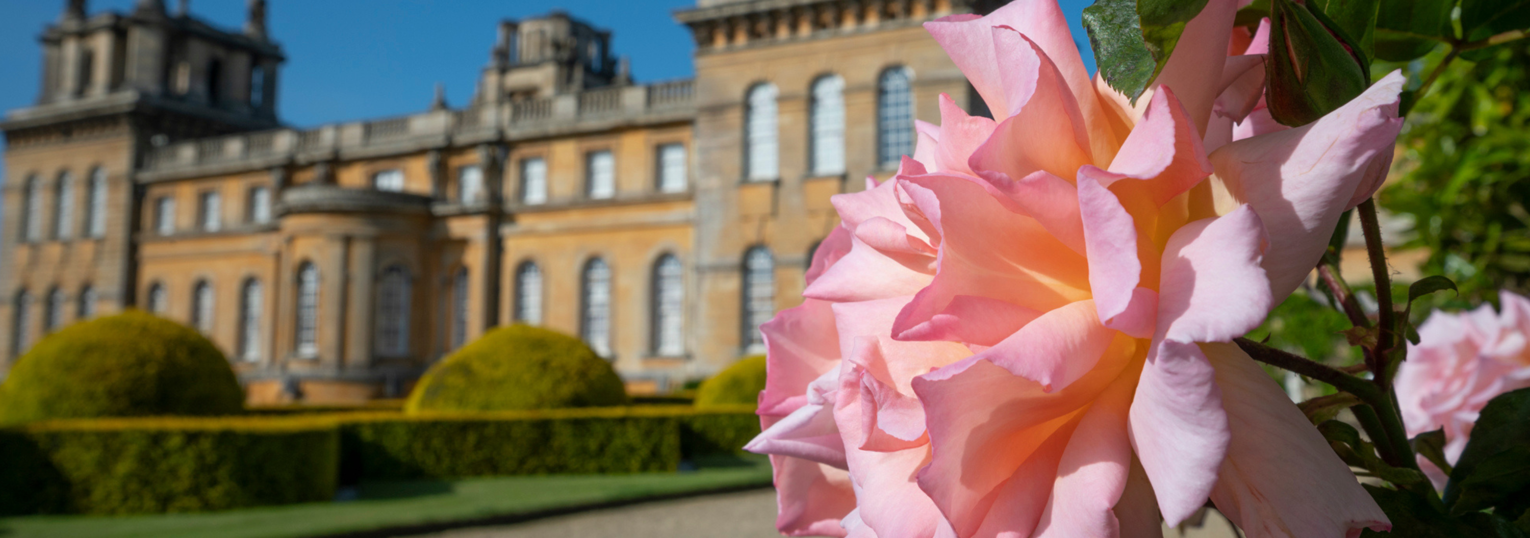 blenheim palace flower show 2024 arctic cabins exhibition 