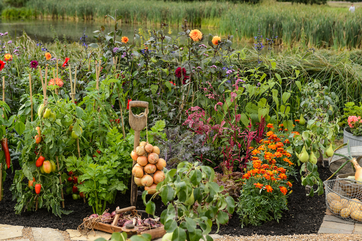 gardeners' world autumn fair